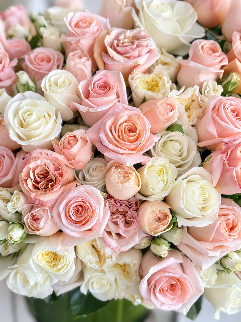 Champagne Blush