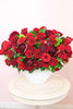 Crimson Seduction