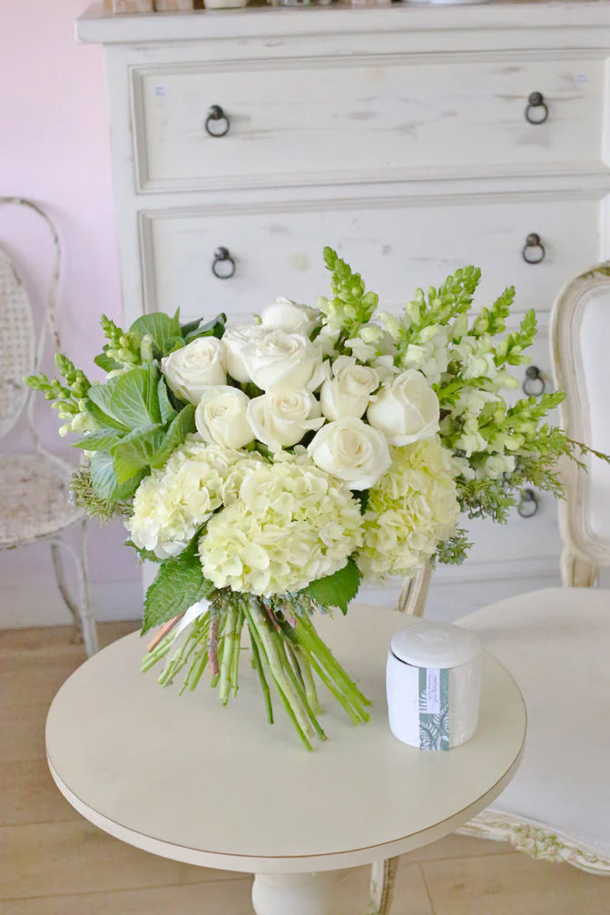White Divine