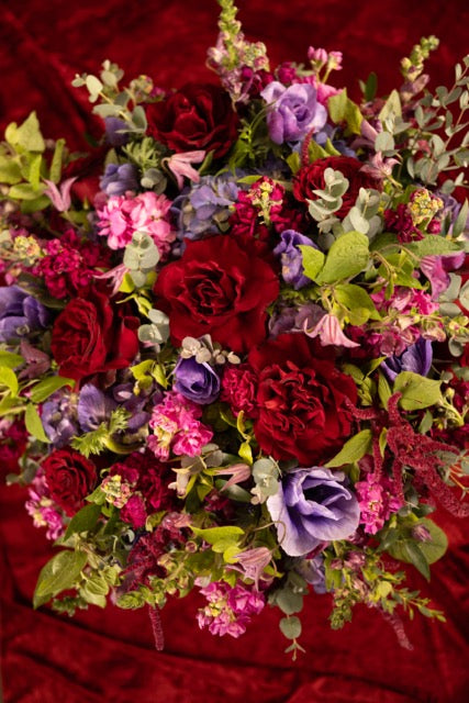 Enchanted to Meet You