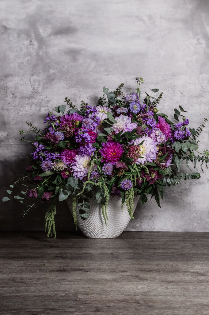 Lavender’s Blue Dahlias