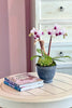 Austen Orchids