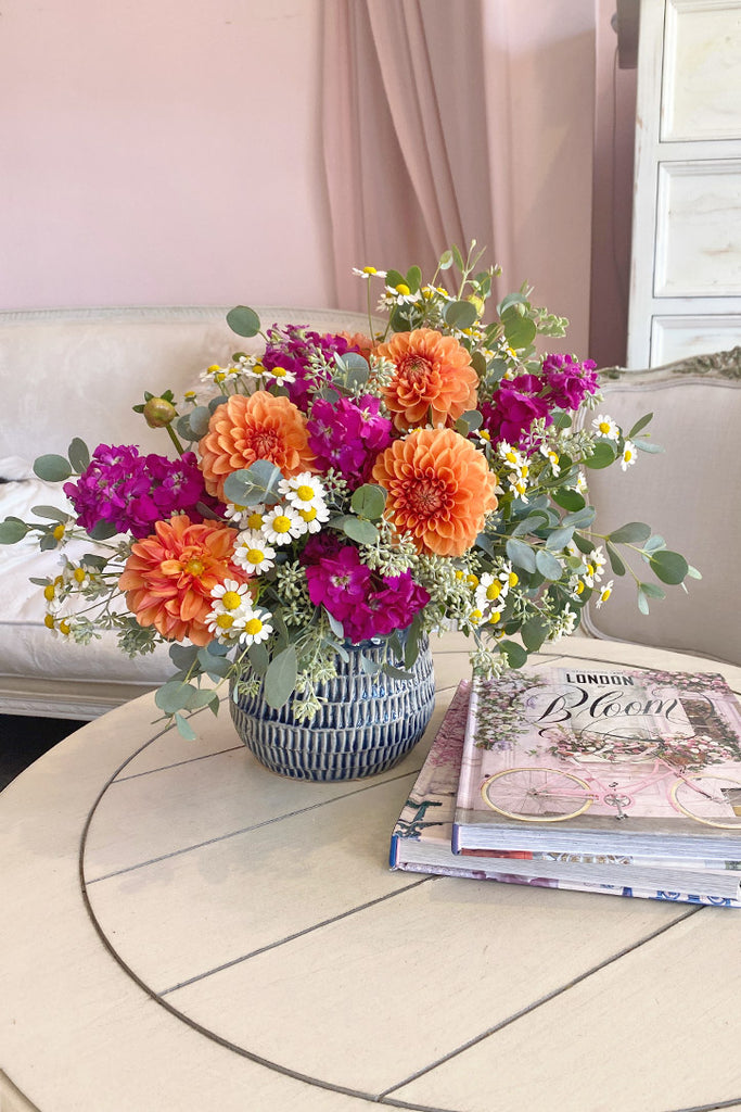 Dahlia Surprise