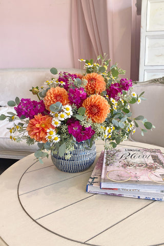 Dahlia Surprise