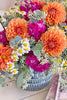Dahlia Surprise
