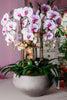 Pink Orchids Waterfall