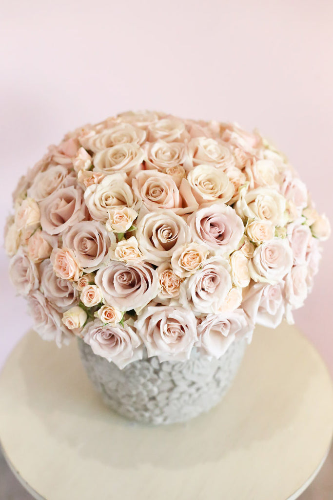 Sahara Roses