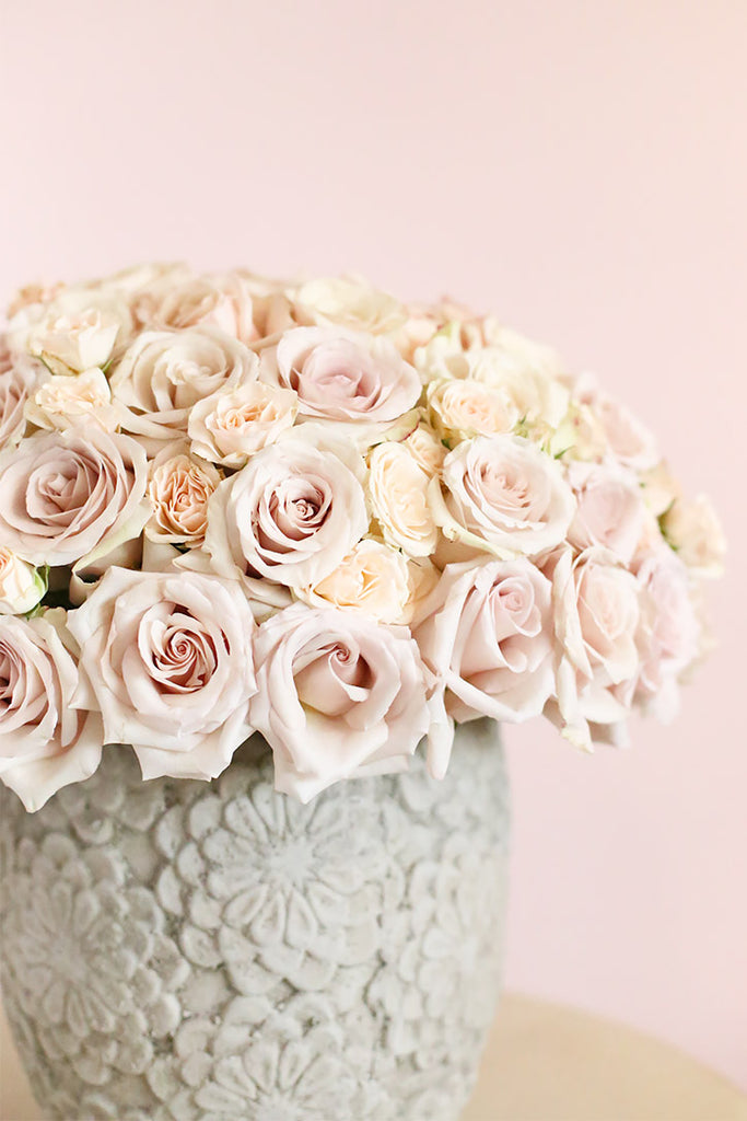 Sahara Roses