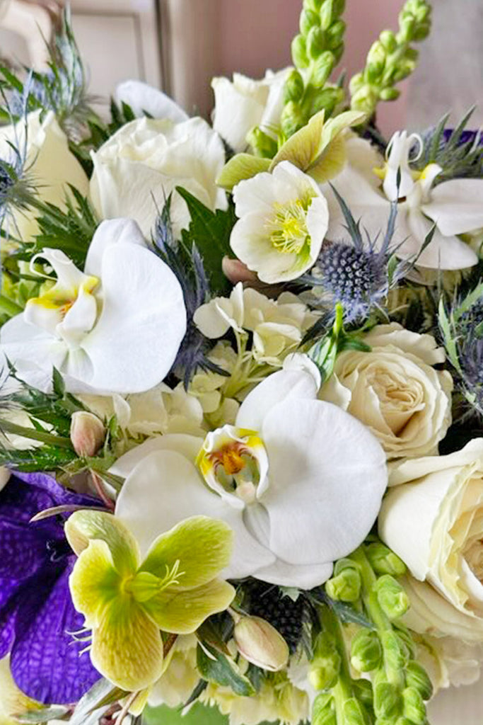 Springtime Illumination