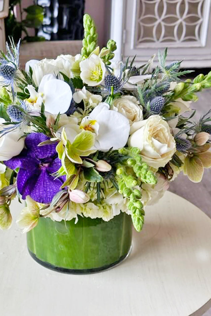 Springtime Illumination