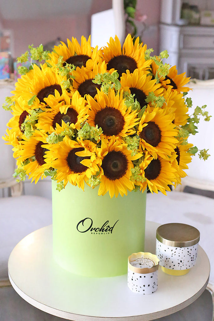 Sunflower Paradise