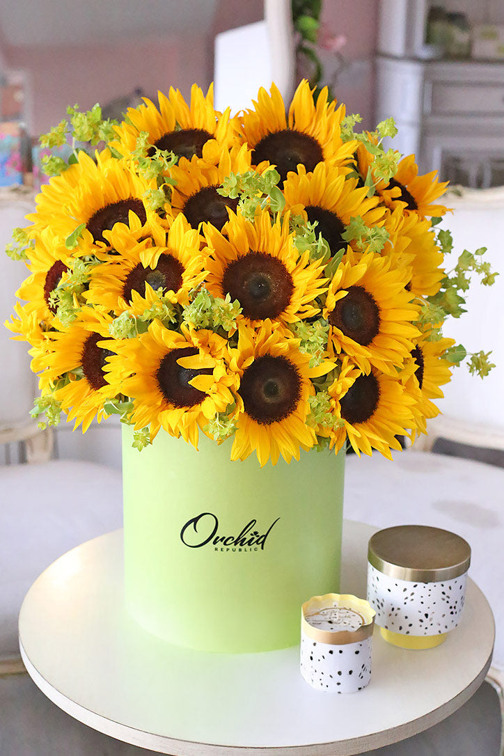 Sunflower Paradise