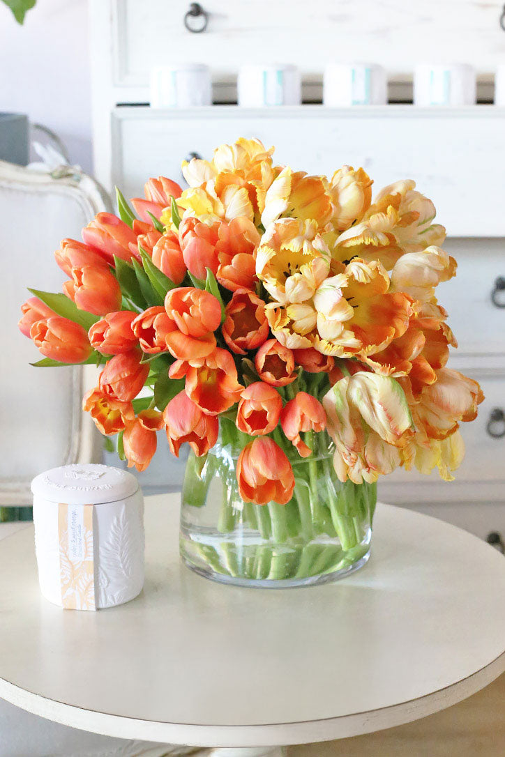 Sunrise Surprise Tulips