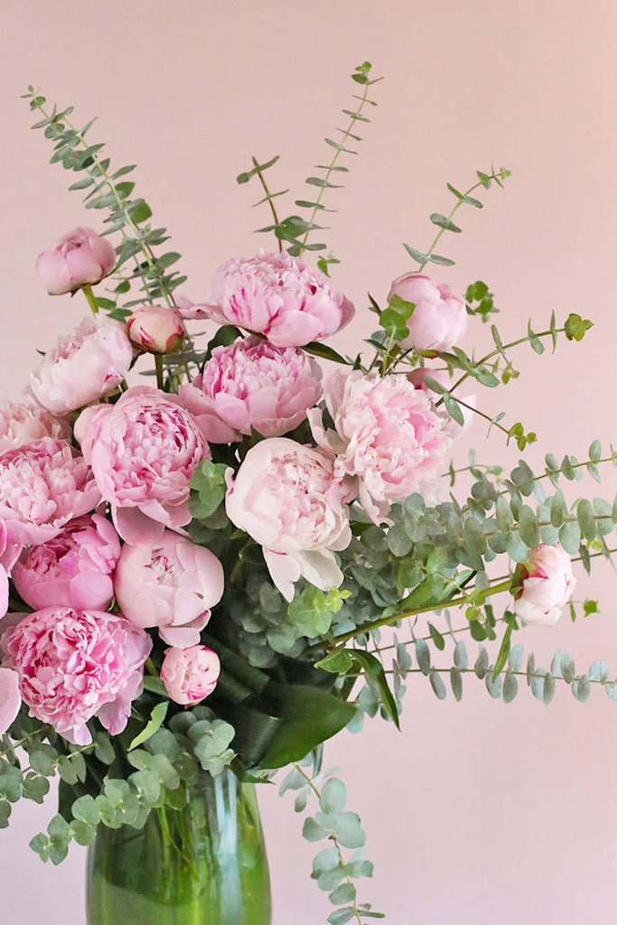 The Perfect Peonies