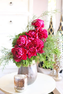 Winter Peonies
