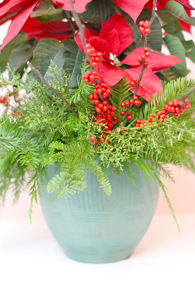 Winterberry Poinsettia