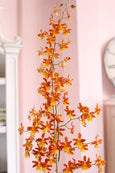Orange Woodside Orchids