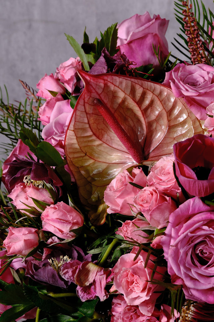 anthurium bubblegum Anthurium Fairy – Orchid Republic Floral Boutique
