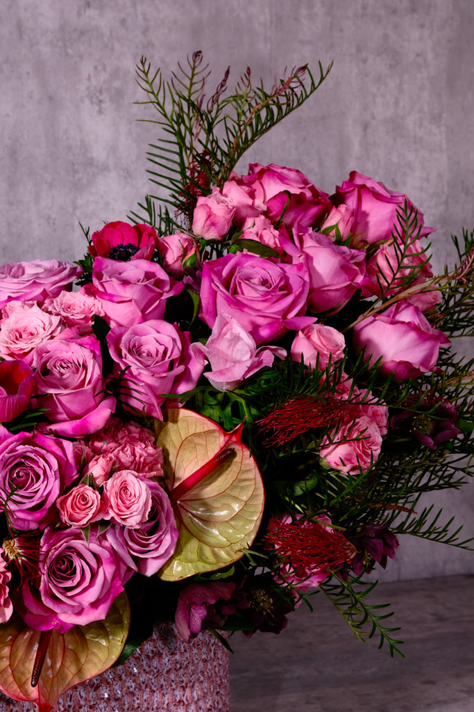 anthurium delicia Anthurium Fairy – Orchid Republic Floral Boutique
