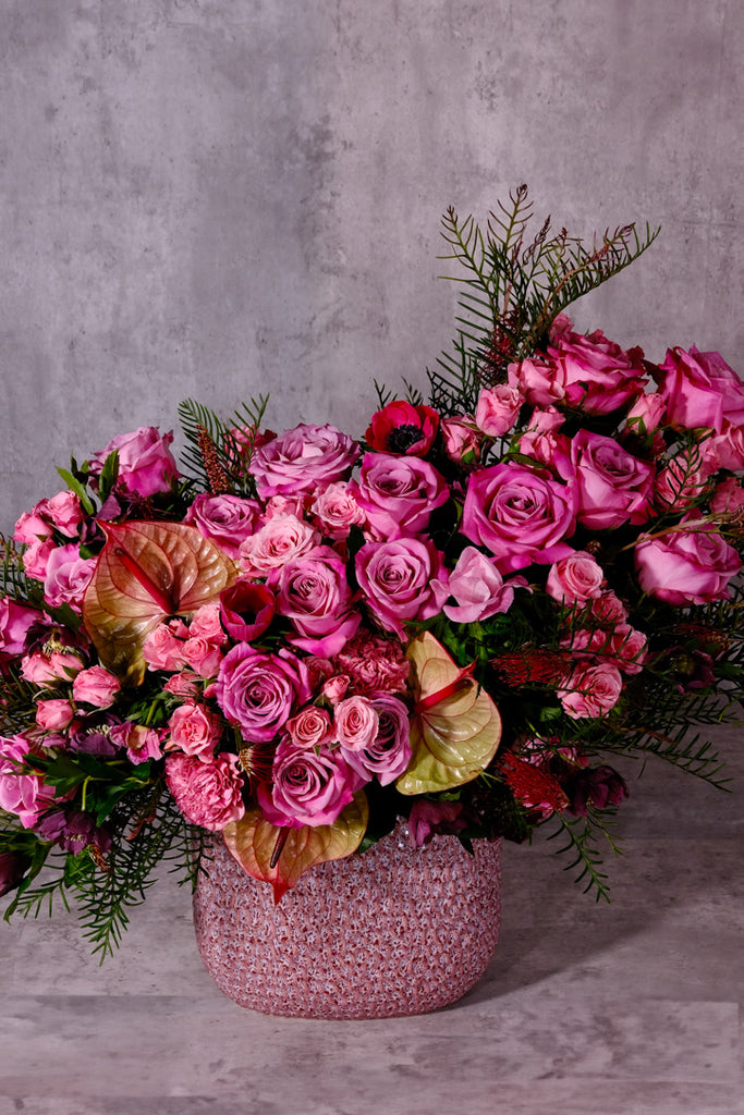 anthurium luxury Anthurium Fairy – Orchid Republic Floral Boutique