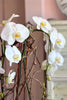 Bel-Air Blanc Orchids