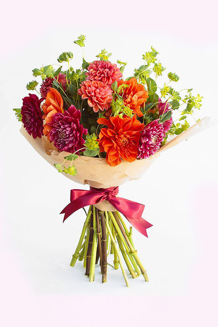Dahlia Desire