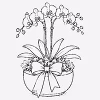 Decorative finishing icon
