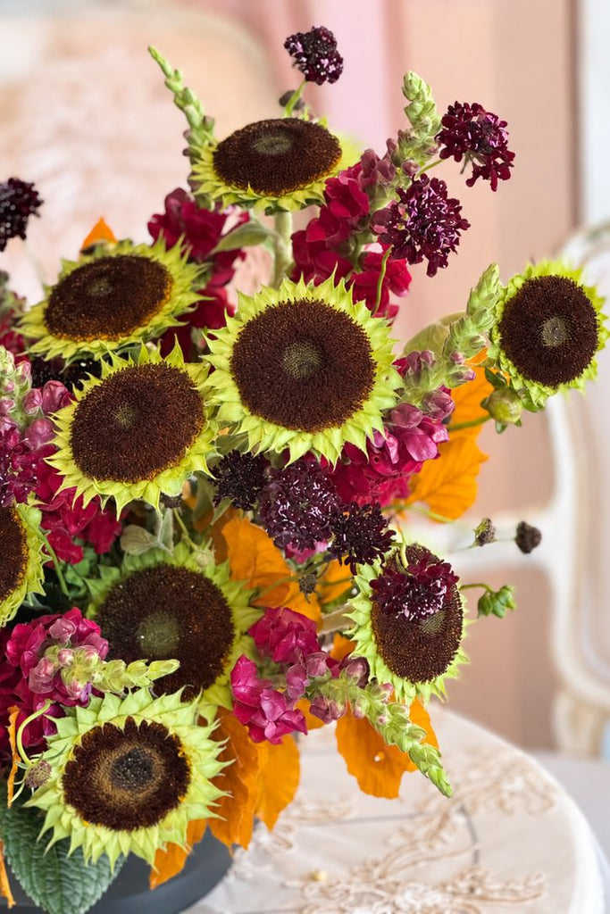 Fall Enchantment