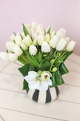 White Tulips Dance