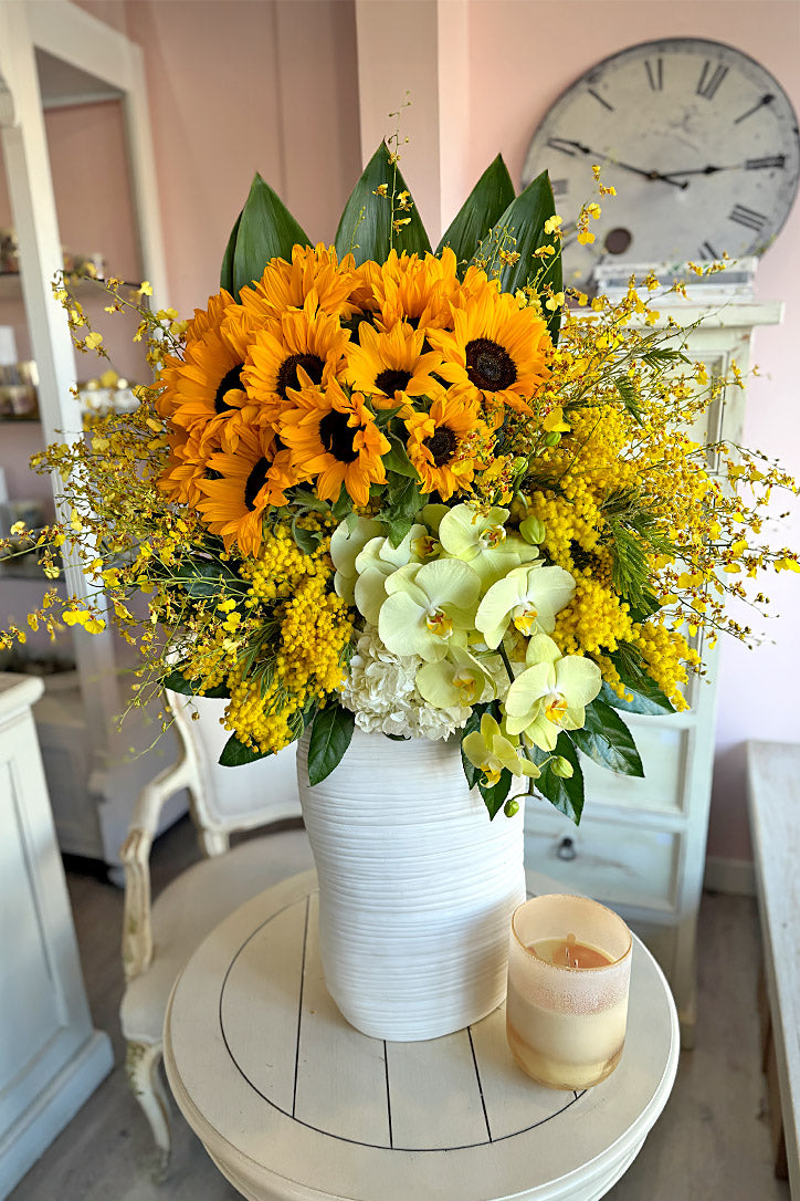 Golden Mimosa
