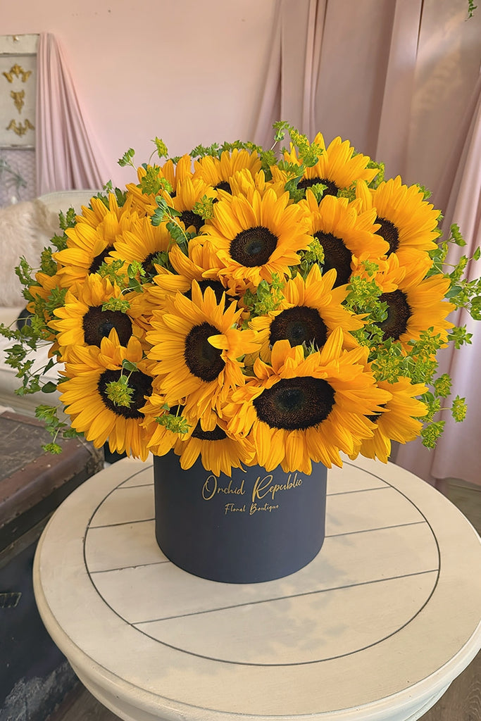 Hello Sunshine