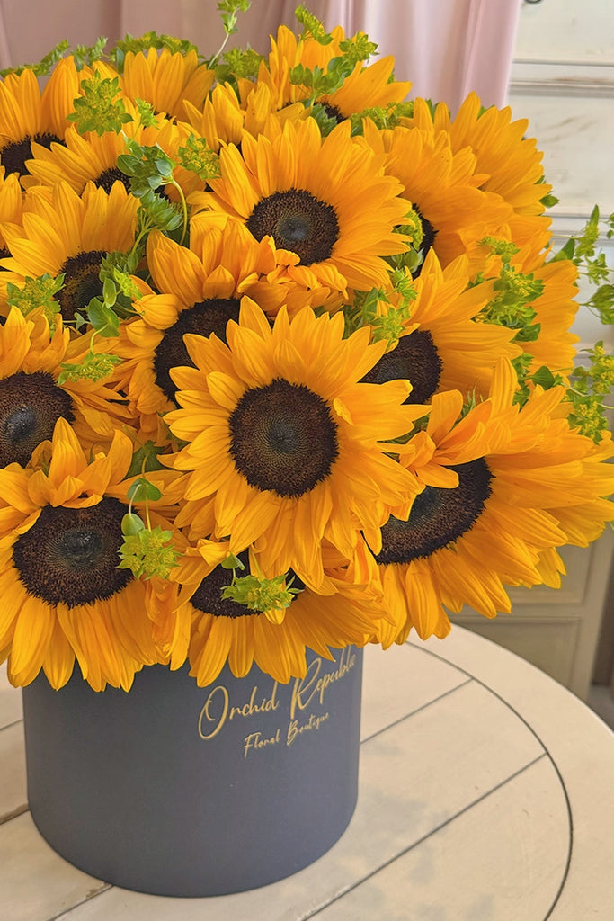 Hello Sunshine