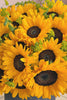 Hello Sunshine