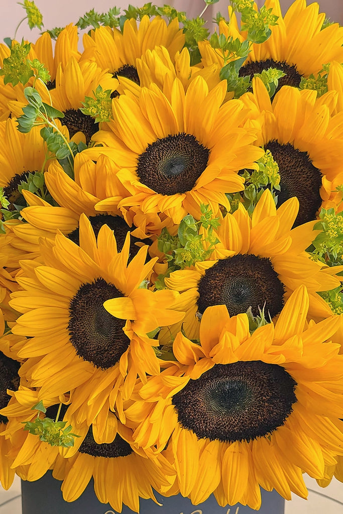 Hello Sunshine