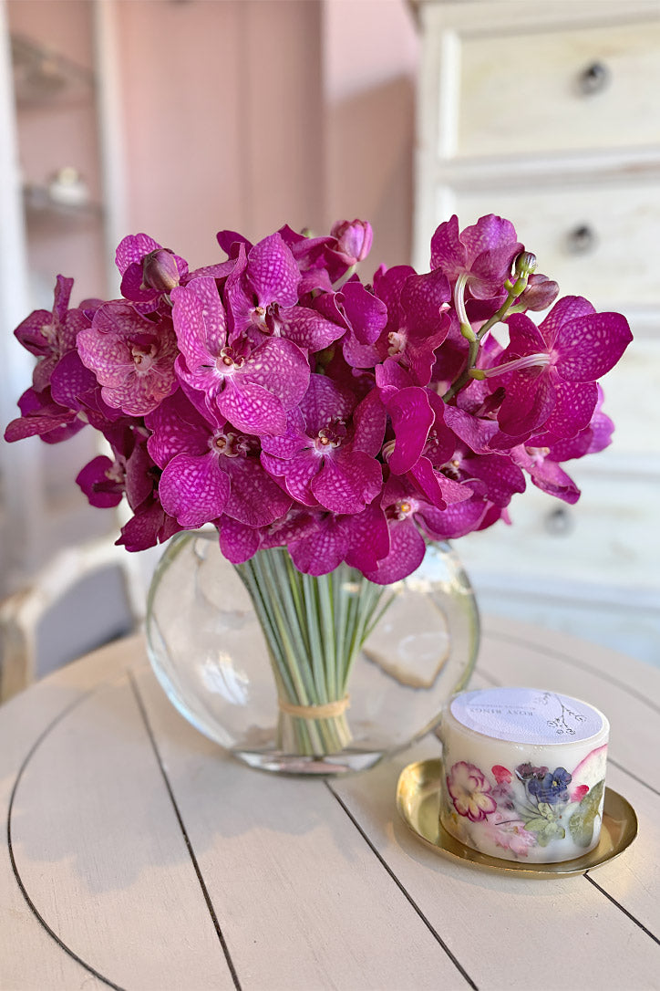 Magenta Darling Orchids