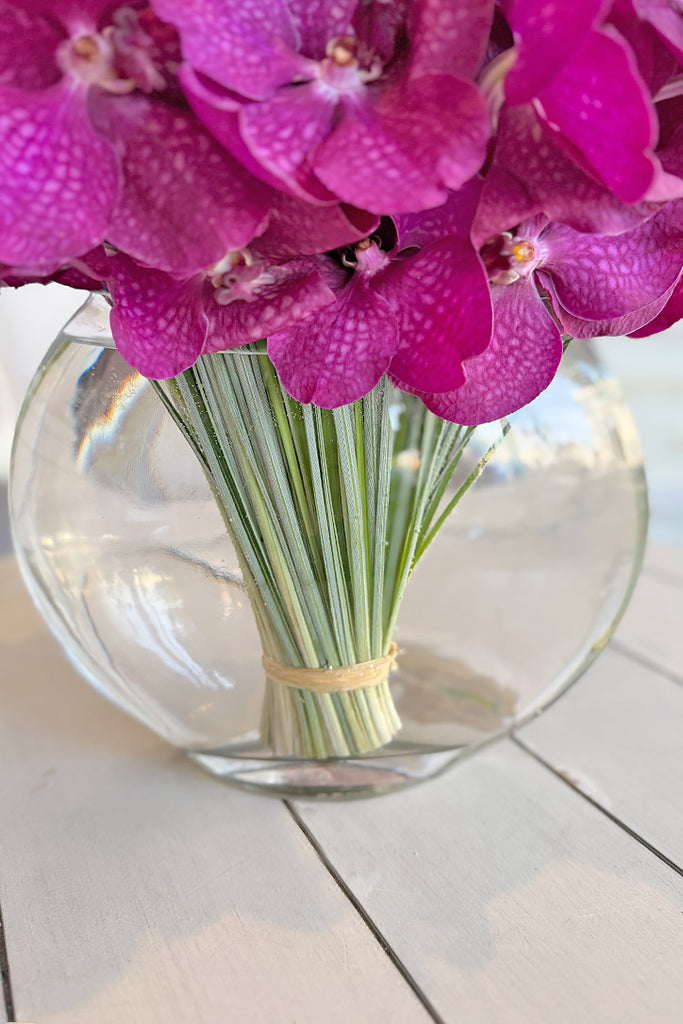 Magenta Darling Orchids