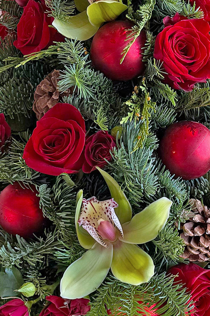 My Little Christmas Tree