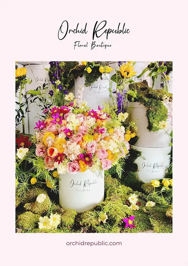 Orchid Republic Company Portfolio