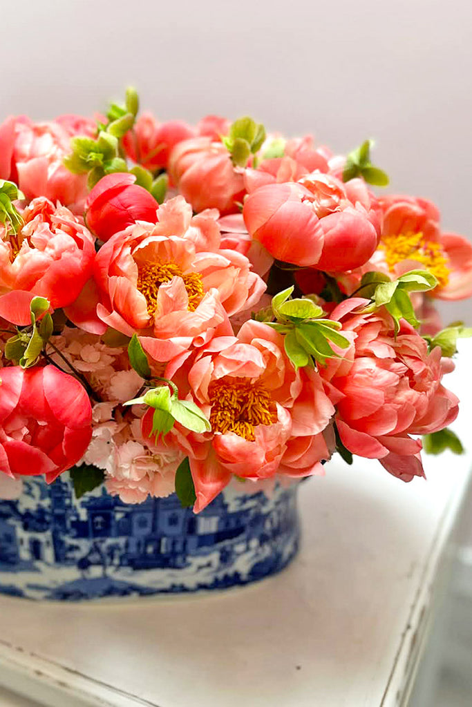 Peony for Your Thoughts