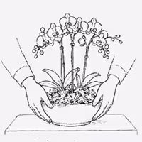Set up icon