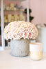 Sahara Roses
