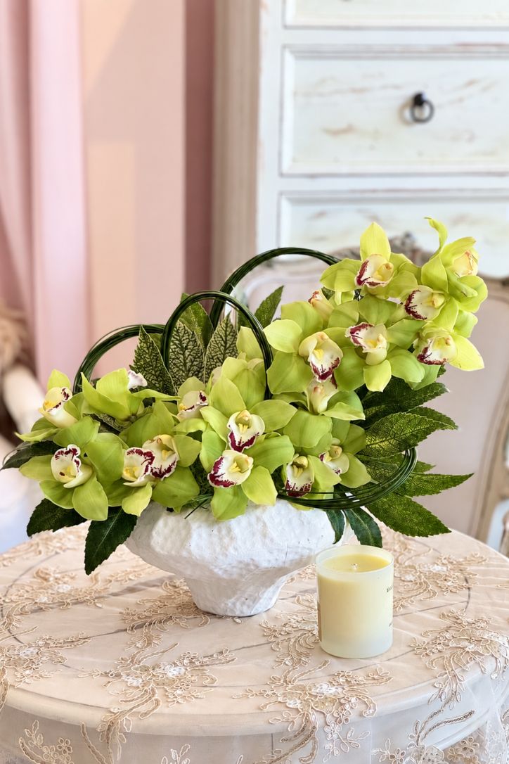 The Limelight Orchids