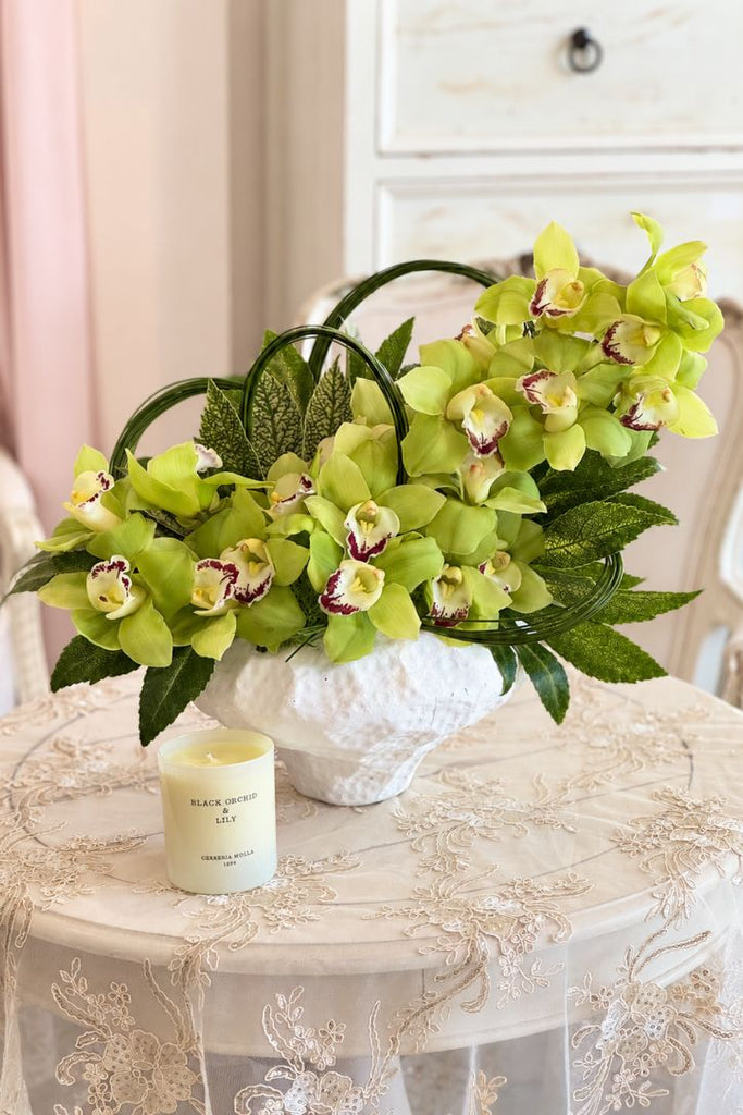 The Limelight Orchids