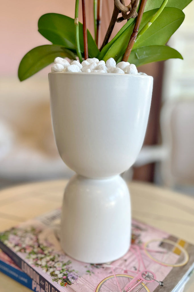 The White Edit Orchid