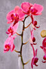 Think Pink Orchids