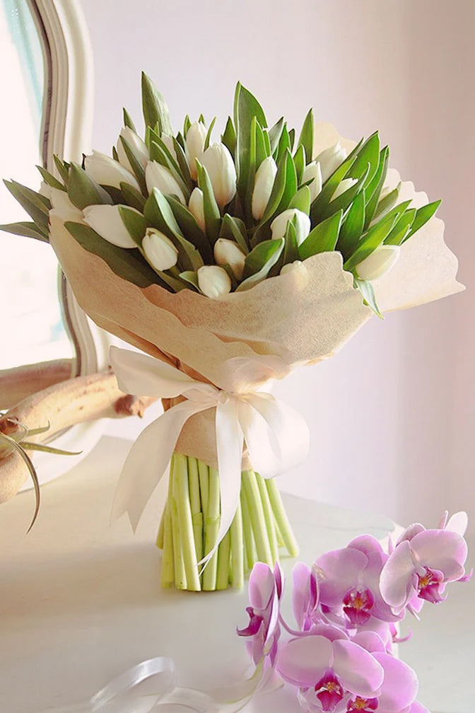 Tulip Desire White