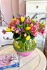 Tulips Jubilee