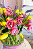 Tulips Jubilee