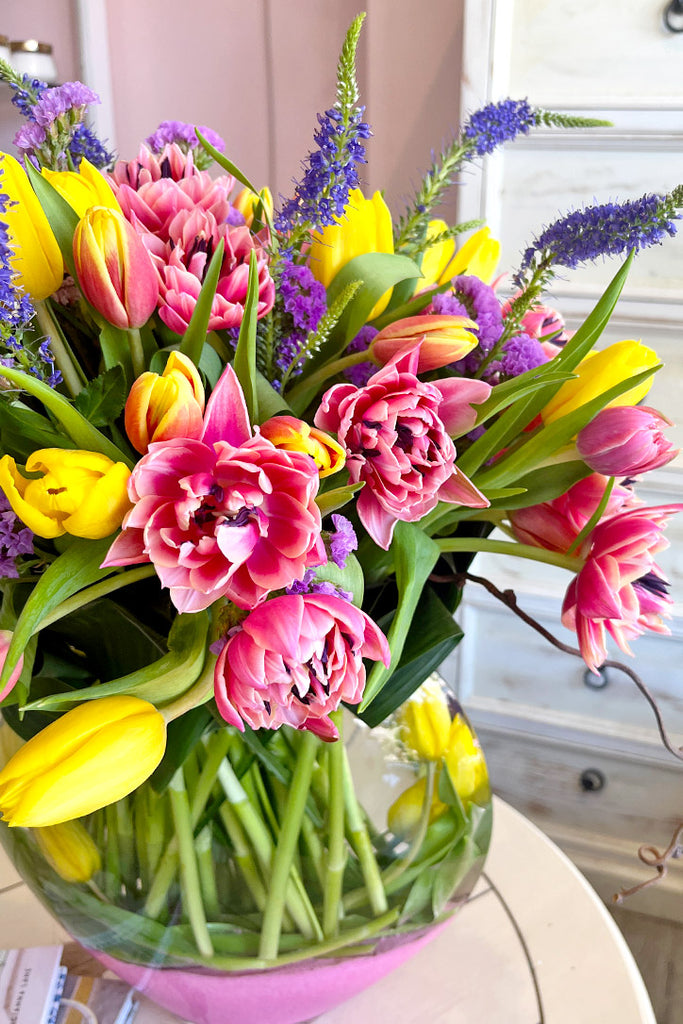 Tulips Jubilee