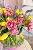 Tulips Jubilee